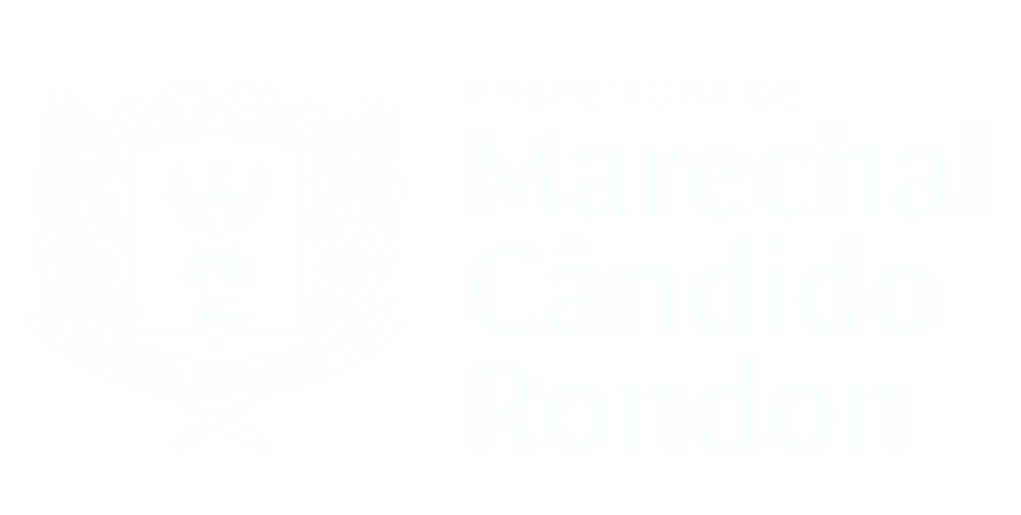 Brasão do Município